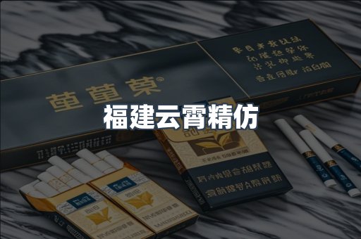 福建云霄精仿